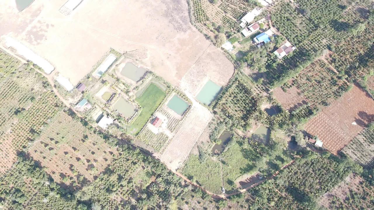 Đất Mặt Tiền Dã Tượng, Buôn Hồ - 4200m² Kinh Doanh Đắc Lợi, 46tr/m Ngang