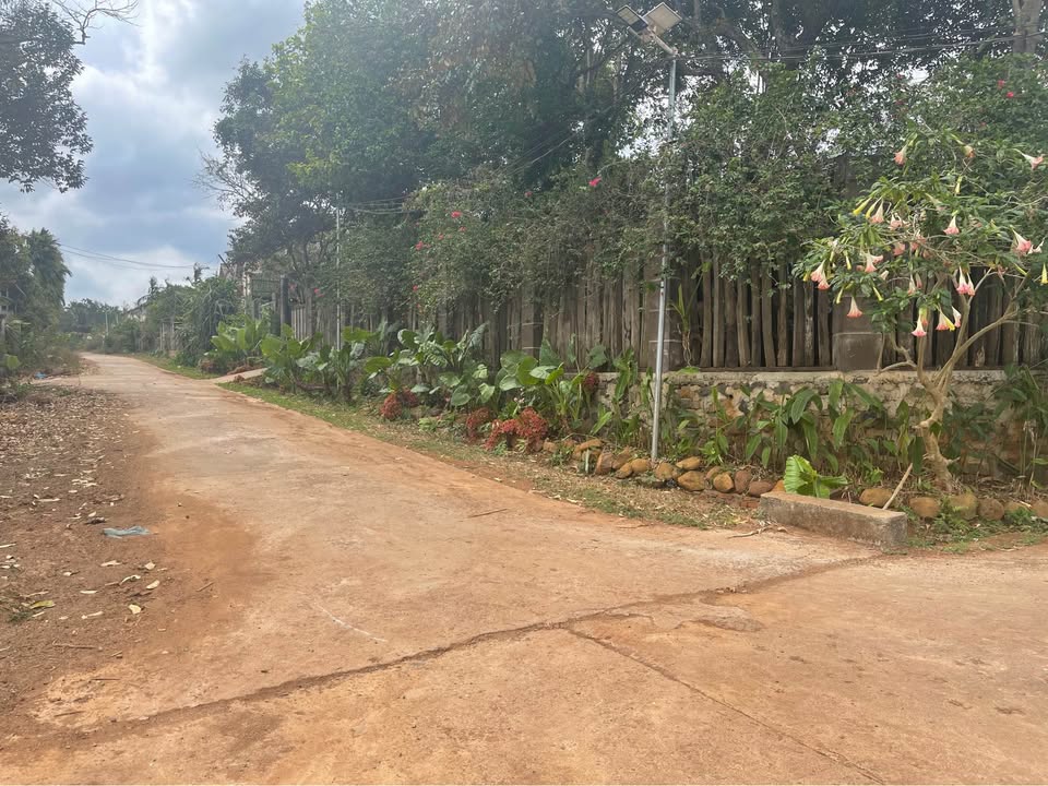 Đất nền Tân Lập Buôn Ma Thuột 240m² giá 2.15 tỷ - Sổ đỏ chính chủ