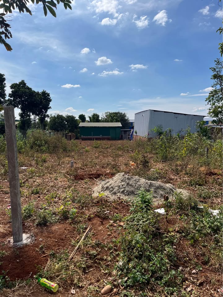 Đất Thổ Cư MT Đường 6m Phạm Ngũ Lão, BMT - 239m² - 2.45 Tỷ