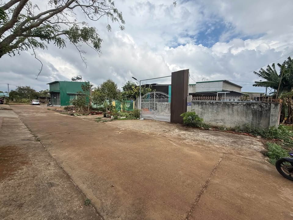 Đất nền Tân Lợi Buôn Ma Thuột 250m² - Sổ đỏ chính chủ, đường ô tô!