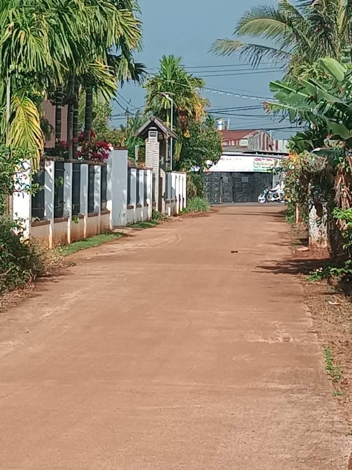 Đất Nền Him Lam, Buôn Ma Thuột 173m² - Sổ Đỏ Full Thổ Cư, Giá 1.55 Tỷ