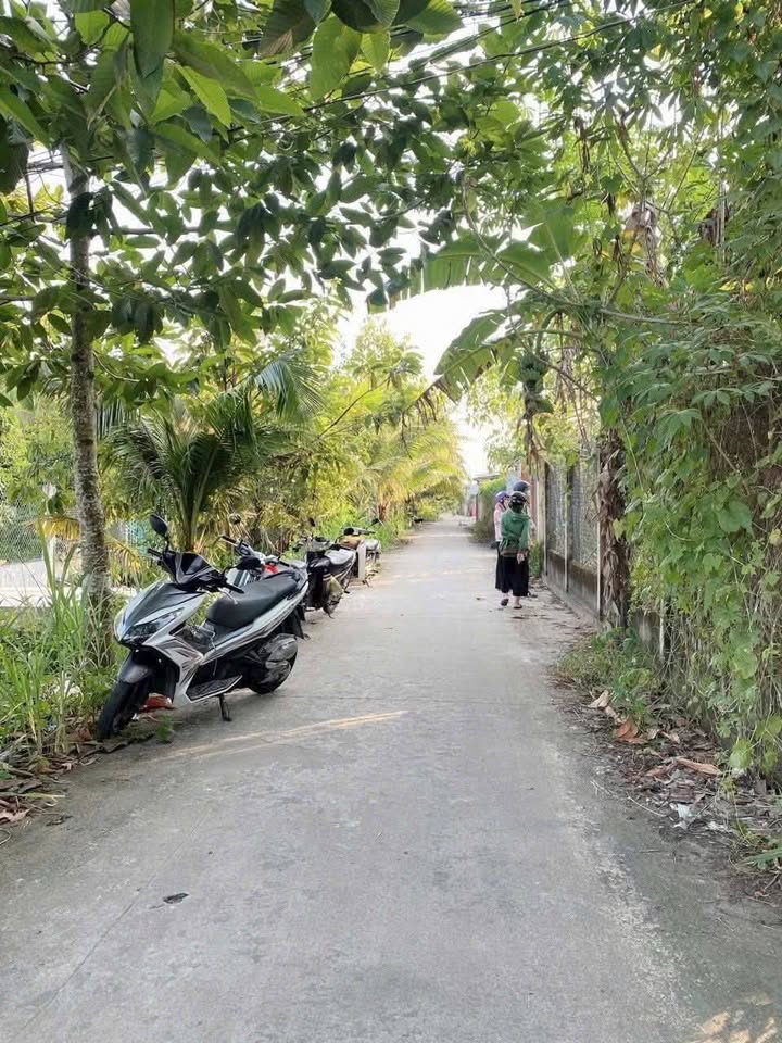 Đất nền TP. Bến Tre 513m² giá 1.026 tỷ - Sổ đỏ chính chủ!