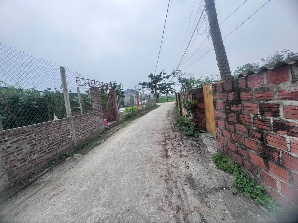 Bán đất Tổ DP Hoà Bình, TP Hà Tĩnh - 127m² 2 mặt tiền, giá 1 tỷ+