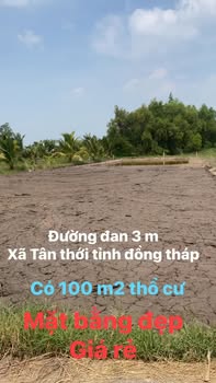 Đất nền Tân Thới, Tiền Giang giá chỉ từ 230 triệu - Sổ đỏ chính chủ!