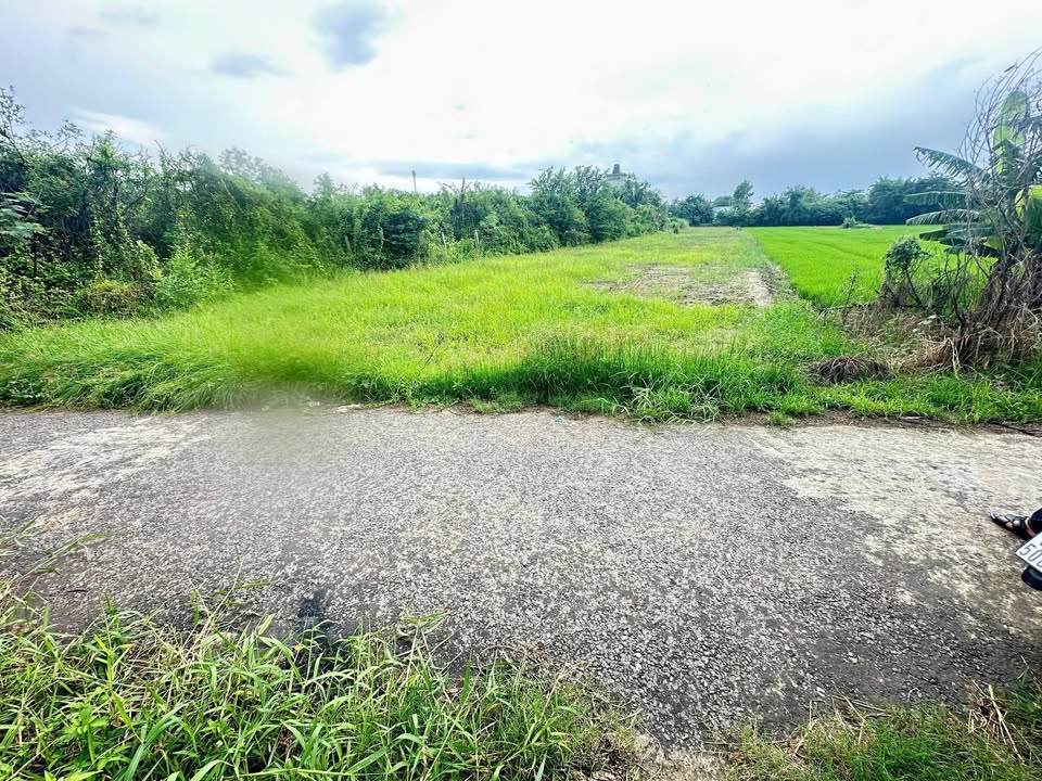 Đất nền Xã Long Hòa Gò Công 2000m² - Tiềm năng tăng giá vượt trội!
