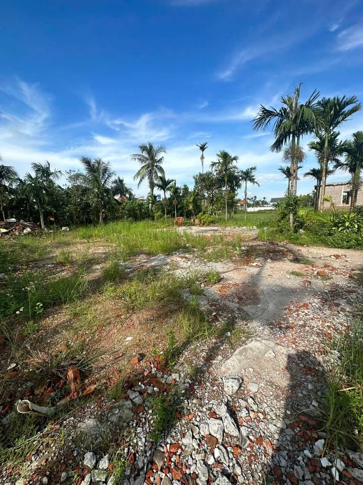 Dat nen Tay Hung Tien Lang 600m2 - So do chinh chu