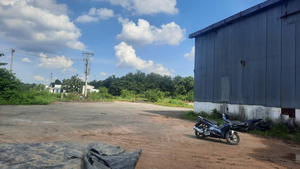 Bán Gấp Xưởng 36.300m² MT ĐT 704, Dầu Tiếng, Bình Dương - Giá 26 Tỷ