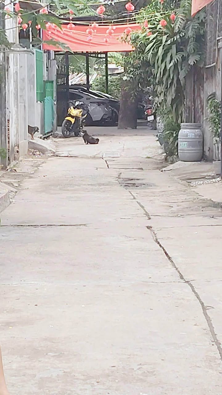 Nhà 101m² Sổ Hồng Riêng Dĩ An - Giá 3.55 Tỷ, Xe Hơi Tới Nhà