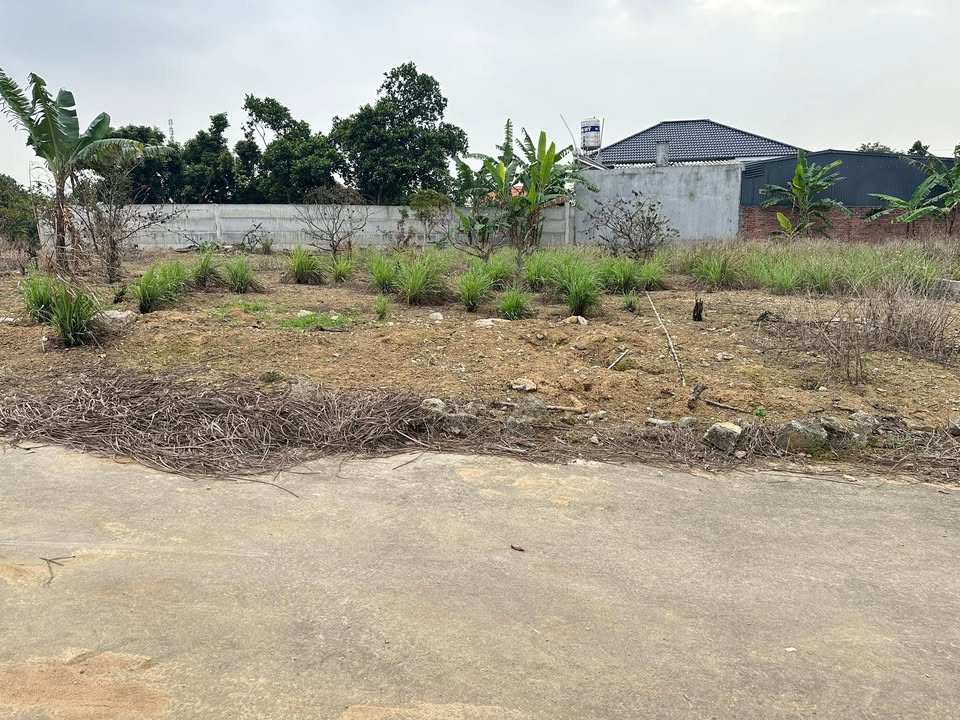 Đất Nền Đông Triều 138m² Hướng Đông - Tiềm Năng Tăng Giá Cao