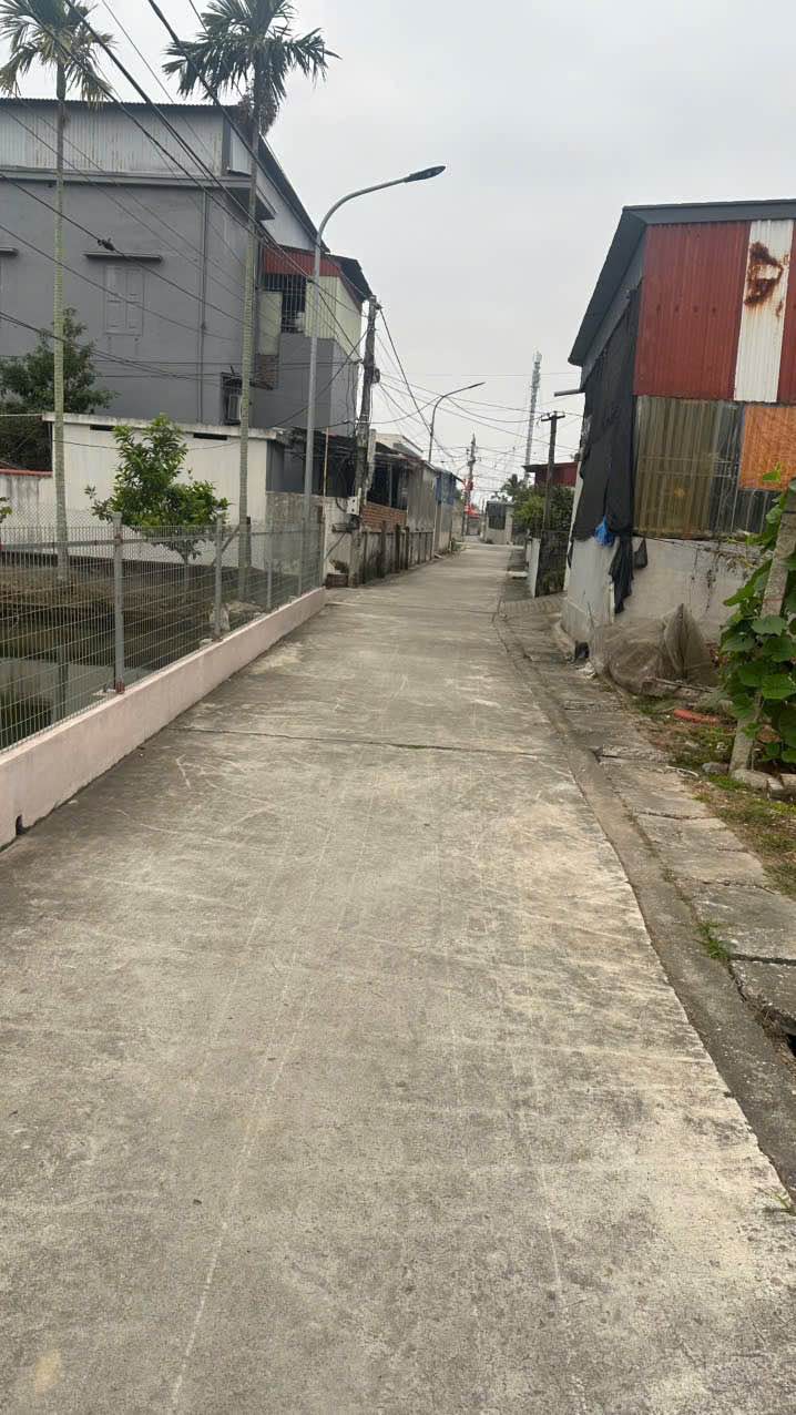 Đất nền An Hưng, An Dương 112.5m² - Tiềm năng tăng giá vượt trội!