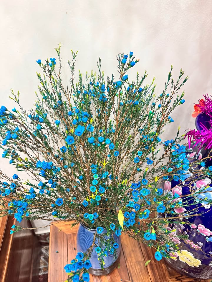 Nhà Phố Lô Góc Đông Phong 106m² - Mặt tiền kinh doanh sầm uất!