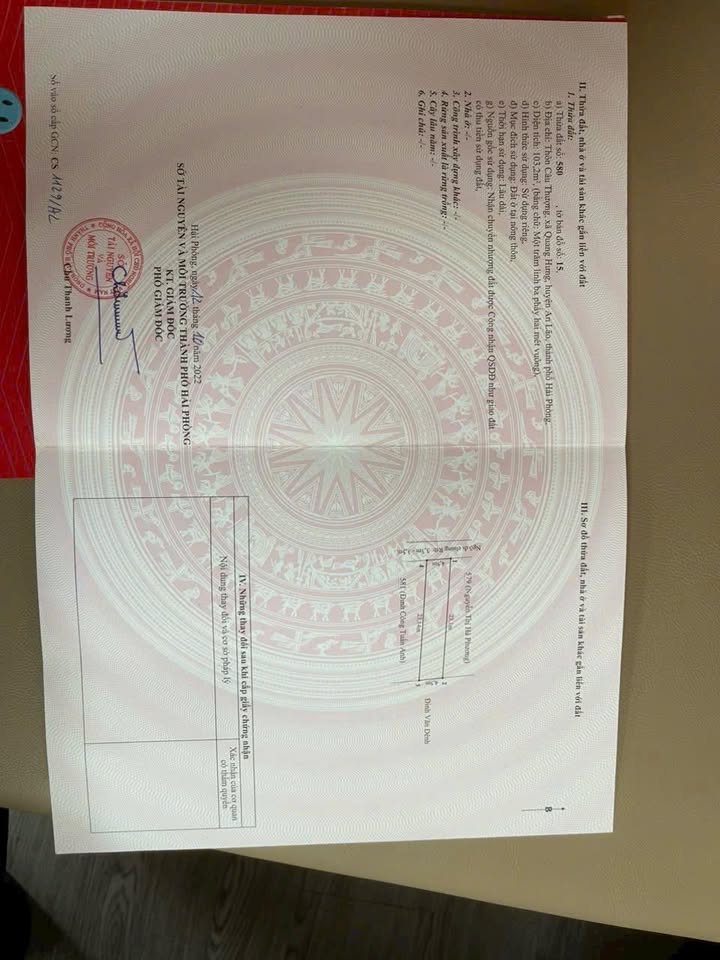 Lô Đất Xã Quang Trung, An Lão, Hải Phòng chỉ 7xx triệu - Tiềm Năng Tăng Giá!