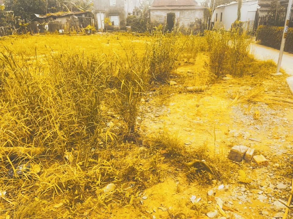 Đất nền Hội An 299m² Trần Nhân Tông - Sổ đỏ chính chủ, ô tô vào tận nơi!