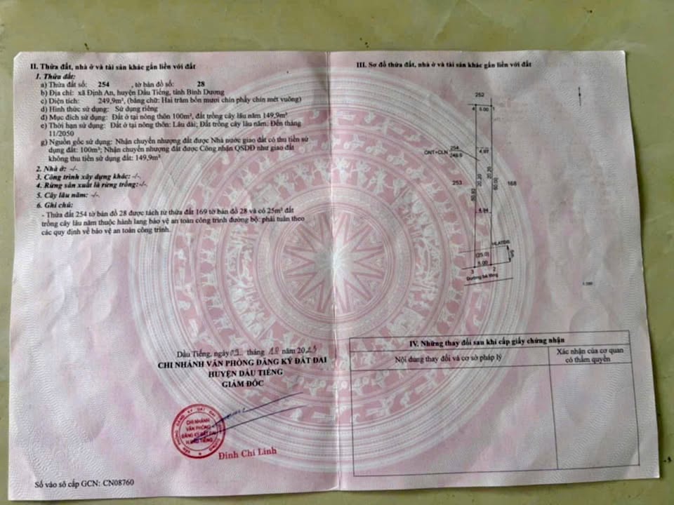 Đất Nền Bình Chánh 250m² - Sổ Thổ Cư Sẵn - Giá 520 Triệu