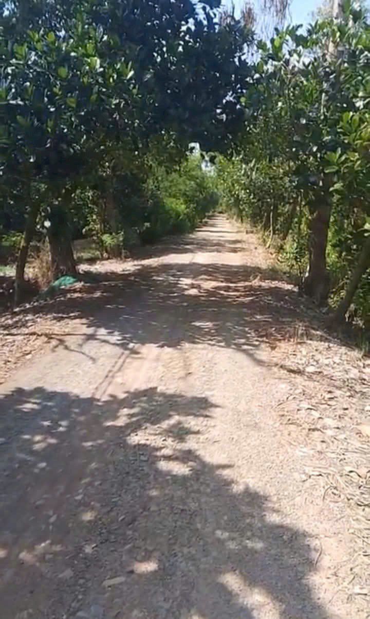 Bán Đất Nền Long An - 469m² Thổ Cư, Sổ Hồng, Giá 1.1 Tỷ