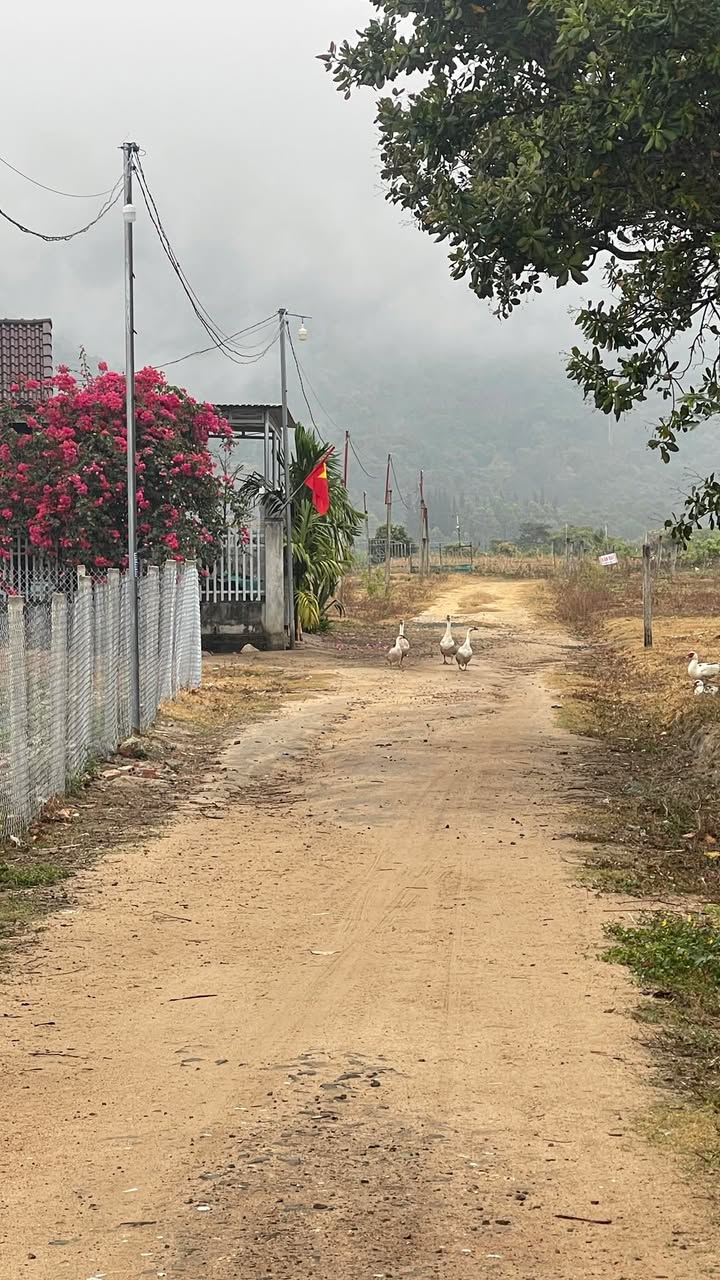 Đất Nền Krông Kmar Đắk Lắk - 180m² Thổ Cư, Giá 430 Triệu