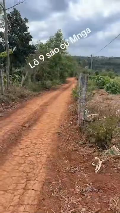 Bán Đất Đỏ Vườn Cà Phê 3240m² Xã Cư M'gar - Giá 3.2 Tỷ