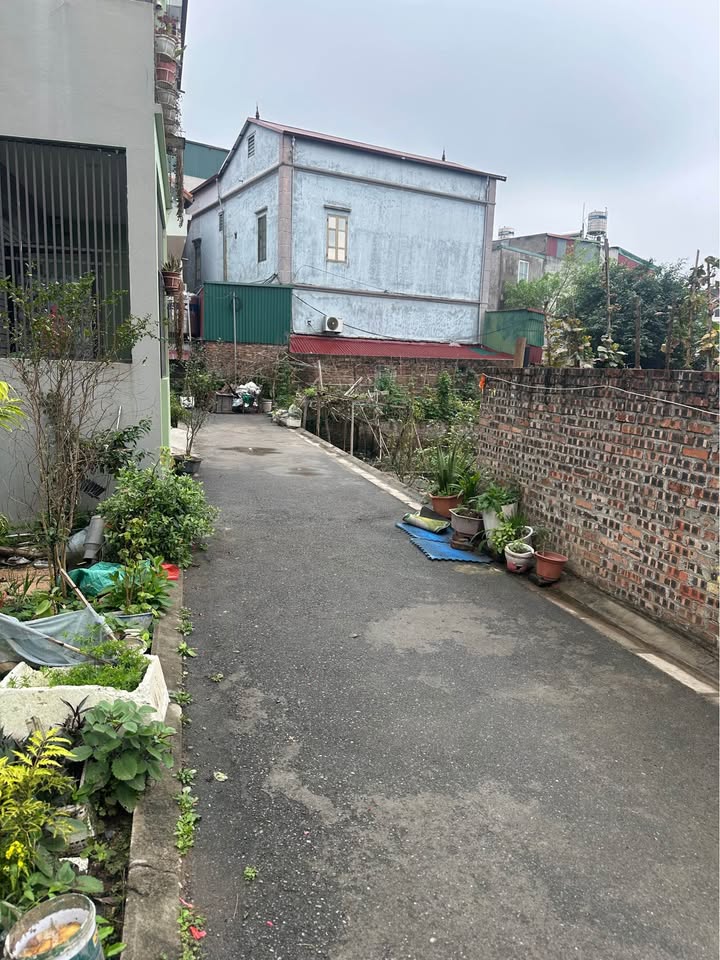 Bán đất Ngọc Động, Đa Tốn 46m² - Sổ đỏ sẵn, giá hơn 3 tỷ