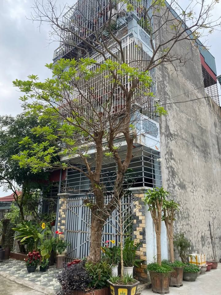 Nhà riêng Thái Bình 67.5m² 3 Tỷ - Vị trí đẹp, Ô tô đỗ cửa!