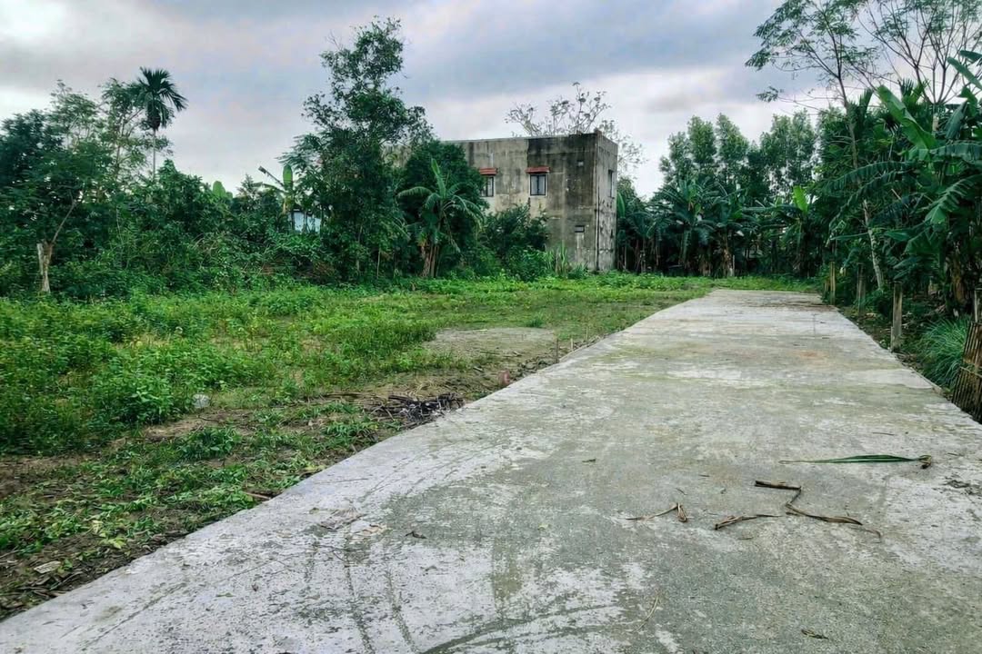 Đất nền Hòa Phong 880m² - Sổ đỏ chính chủ, xây tự do!