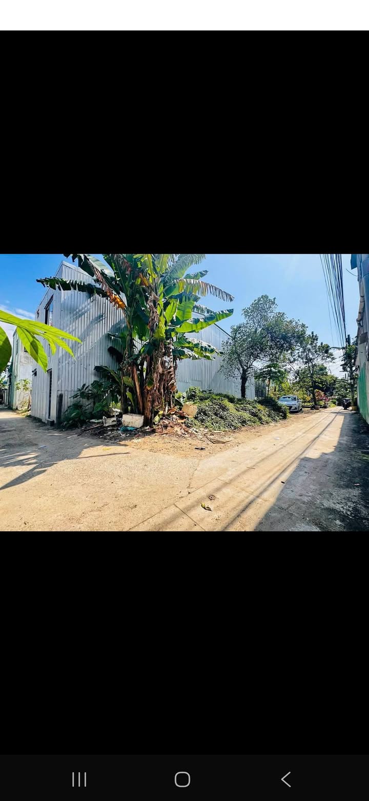 Đất Nền Cẩm Lệ 100m² - Sổ Đỏ Sẵn Sàng - Đầu Tư Sinh Lời