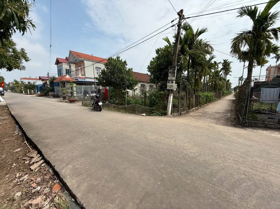 Đất nền Hải Sơn Hải Hậu 239m² Lô góc - Sổ đỏ chính chủ!