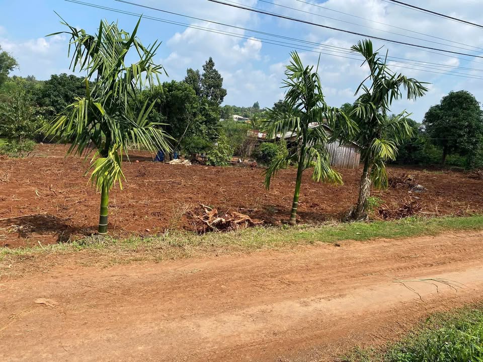 Đất sào Quảng Hiệp 1500m² giá 1.05 tỷ - Nghỉ dưỡng lý tưởng!