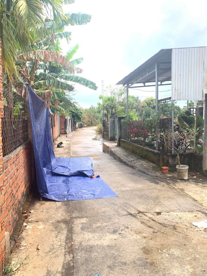 Đất vườn Ea Kao BMT 350m² giá 1.5 tỷ - Nghỉ dưỡng lý tưởng!