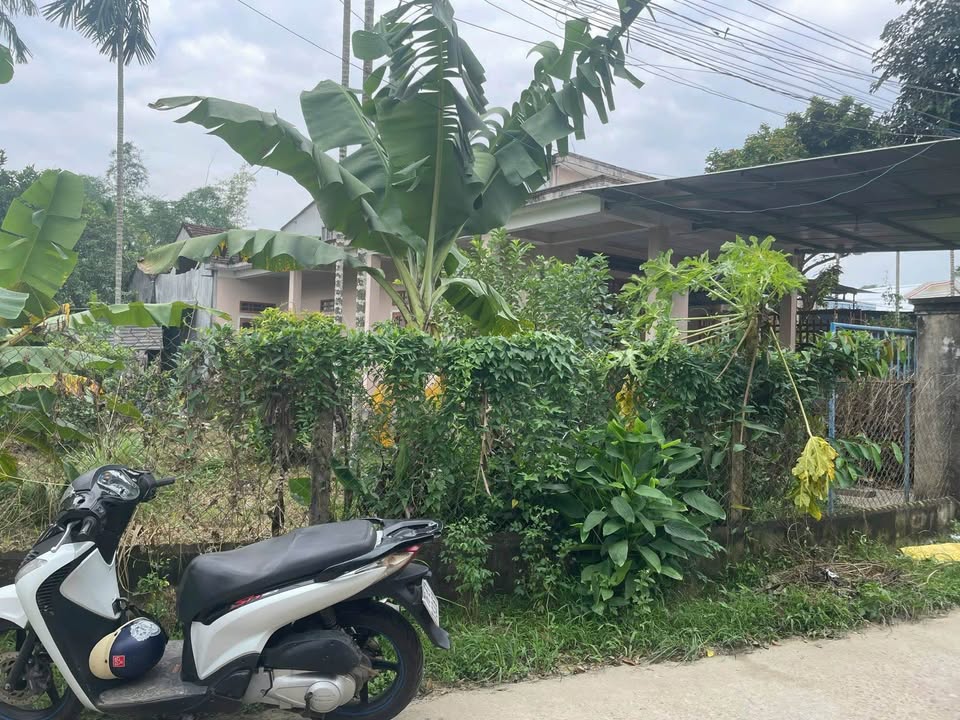 Đất nền TP. Quảng Ngãi 75m² giá 595 triệu - Sổ đỏ chính chủ