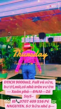 Đất vườn Xuân Phú Đồng Nai 9000m² 15 tỷ - Nghỉ dưỡng lý tưởng