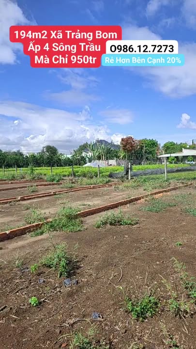 Đất nền Sông Trầu, Trảng Bom 194m² giá 950 triệu - Sổ đỏ chính chủ!