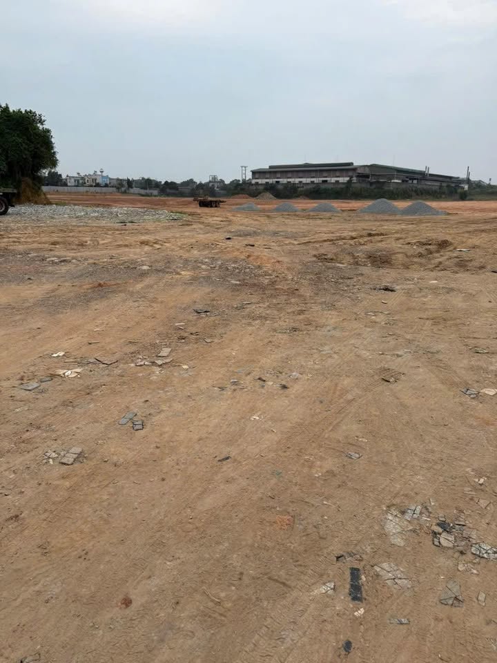 Cho thuê kho bãi Dĩ An 10.000m² - Container vào tận nơi!