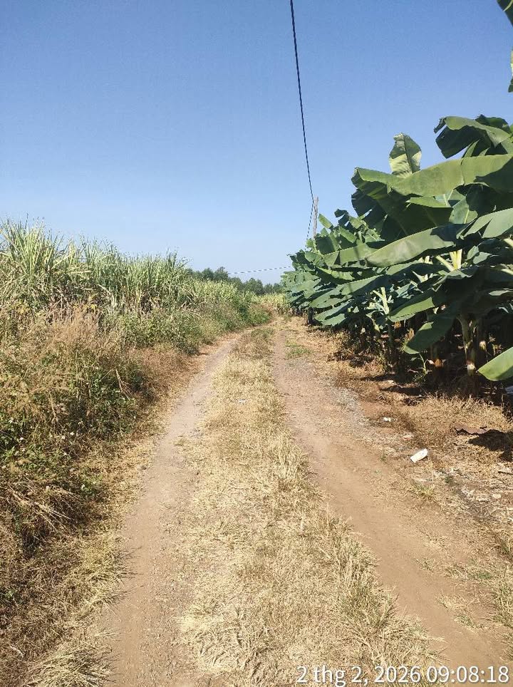 Đất nền Trảng Bom 10.800m² giá 1.95 tỷ - Sổ đỏ chính chủ