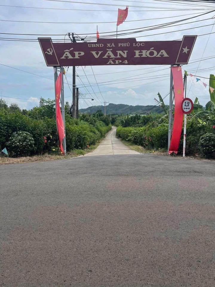 Đất nền Phú Lộc Tân Phú 200m² - Sổ đỏ chính chủ, giá chỉ 395 triệu!