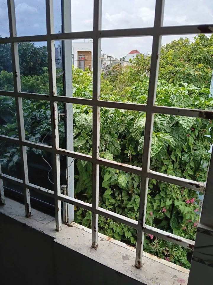 Nhà riêng P. Quang Vinh, Biên Hòa 50m² - Chính chủ bán!