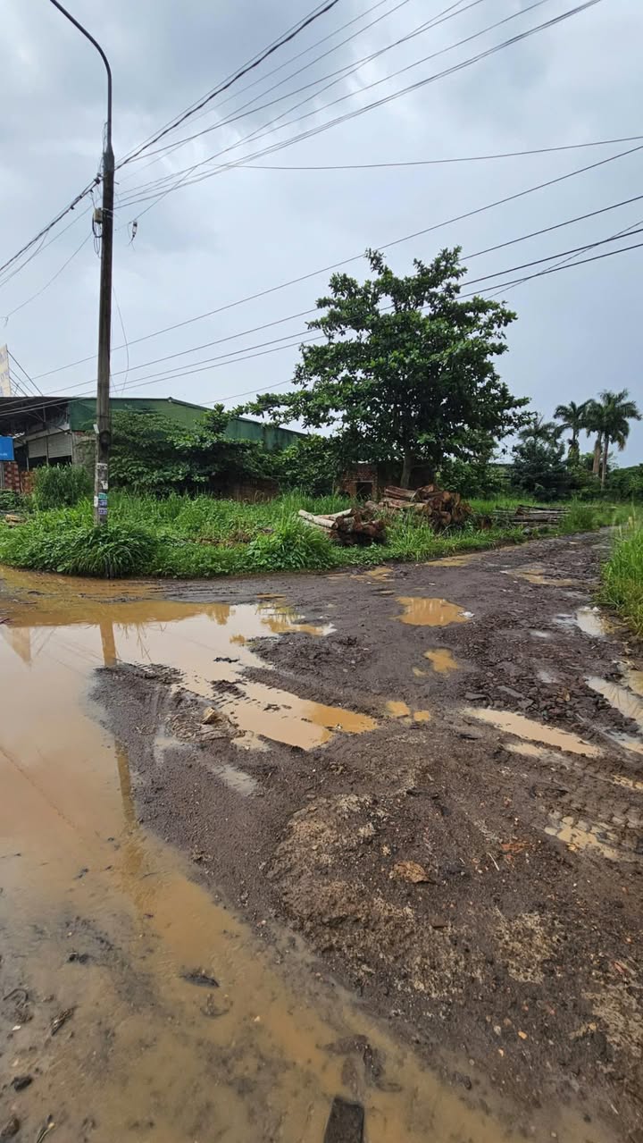 Đất Vàng Mặt Tiền QL1A, Biên Hòa 2480m² - Sổ Hồng Riêng, Sẵn Sàng Kinh Doanh