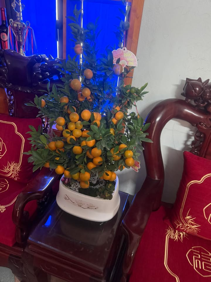 Đất nền tặng nhà C4 Đào Sư Tích, TP Bắc Giang 108m² - Tiềm năng tăng giá!