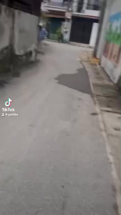 Đất nền Phúc Yên, Vĩnh Phúc 83m² chỉ 1.7 tỷ - Tiềm năng tăng giá!