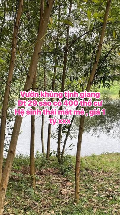 Đất Vườn Phổ Hòa, Đức Phổ 11.6ha - Nghỉ dưỡng lý tưởng!