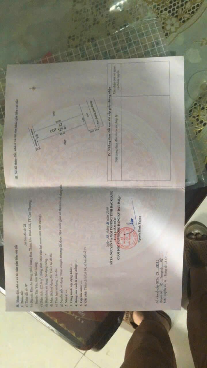 Đất nền Tân Yên 125m² - Tiềm năng tăng giá vượt trội!