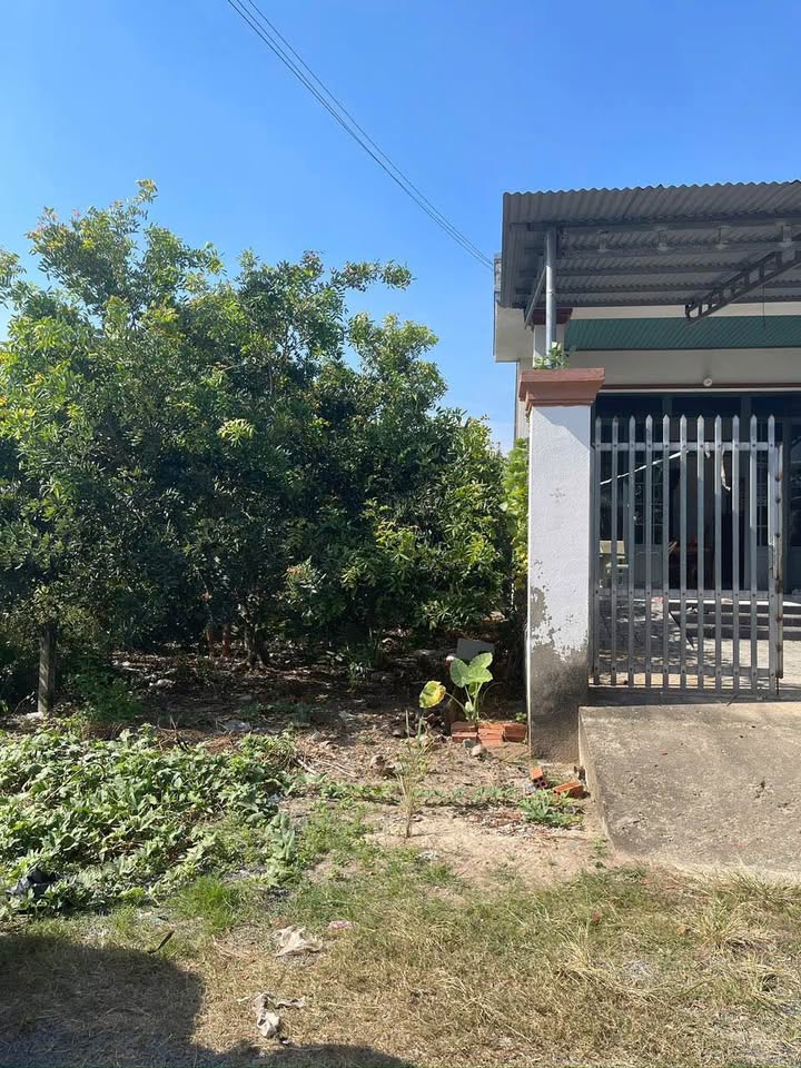 Bán Đất Hẻm 105 Nguyễn Văn Linh, Tân Biên - 124m² Giá 450 Triệu