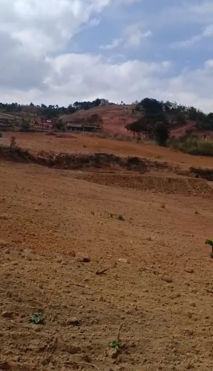 Cho thuê đất nông nghiệp Nam Ban, Lâm Hà 2ha - Sẵn sàng canh tác!