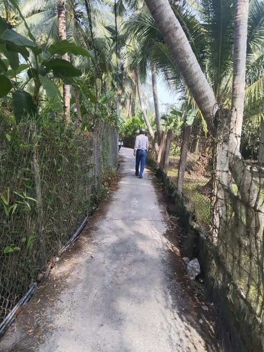 Đất Vườn Châu Thành Tiền Giang 399m² Giá 560 Triệu - Nghỉ Dưỡng Lý Tưởng