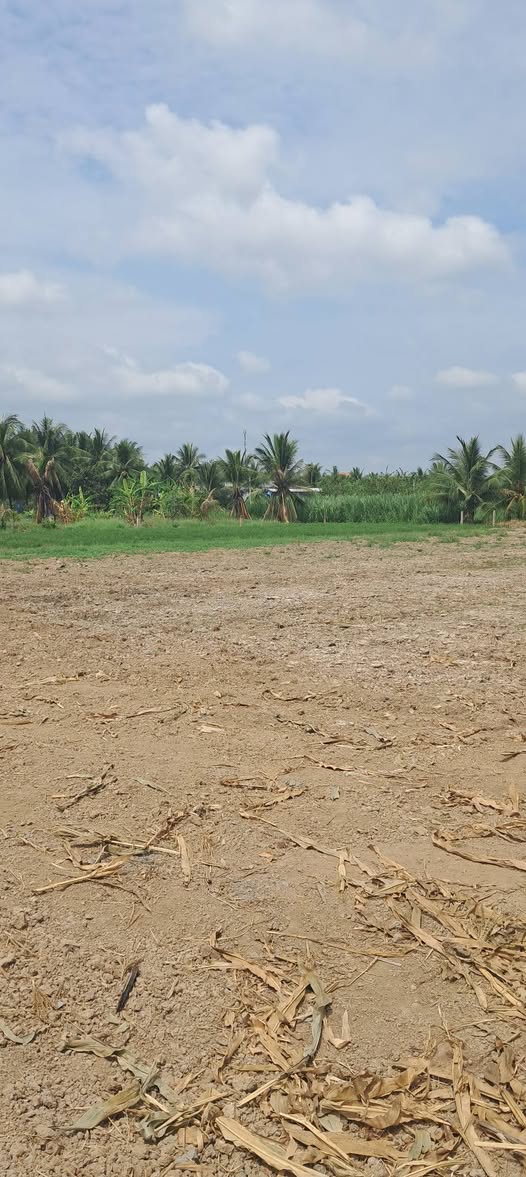 Đất nền Chợ Gạo Tiền Giang 550m² giá 450 triệu - Tiềm năng tăng giá cao