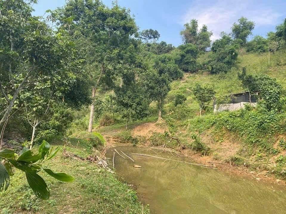 Đất Vườn Nghỉ Dưỡng 7000m² View Cao, Có Suối - Hòa Bình