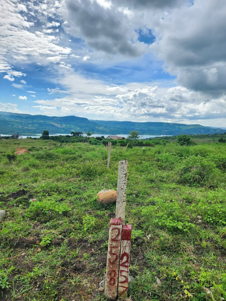 Đất Nền Lâm Hà - Lâm Đồng: 100m²/lô, View Sông ĐN2, Sổ Đỏ Chính Chủ