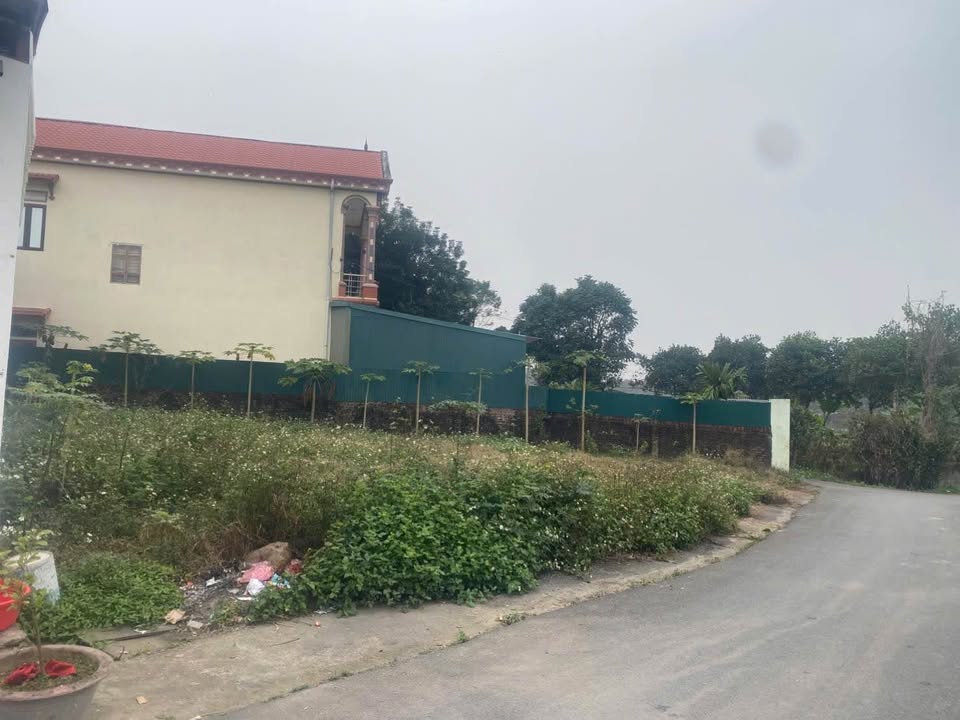 Đất Vĩnh Phúc 372m² Đồng Tĩnh - View Đồng Ruộng Giá 8 Tỷ