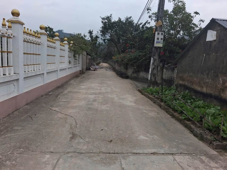 Đất Vườn Tam Đảo 1500m² Thổ Cư - Giá F0 4.2 Tỷ