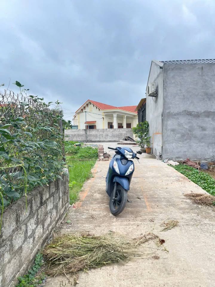 Đất Thủy Triều, Hải Phòng - 63m² Sổ Đỏ Sẵn, Hướng Đông Nam Giá 9xx Triệu