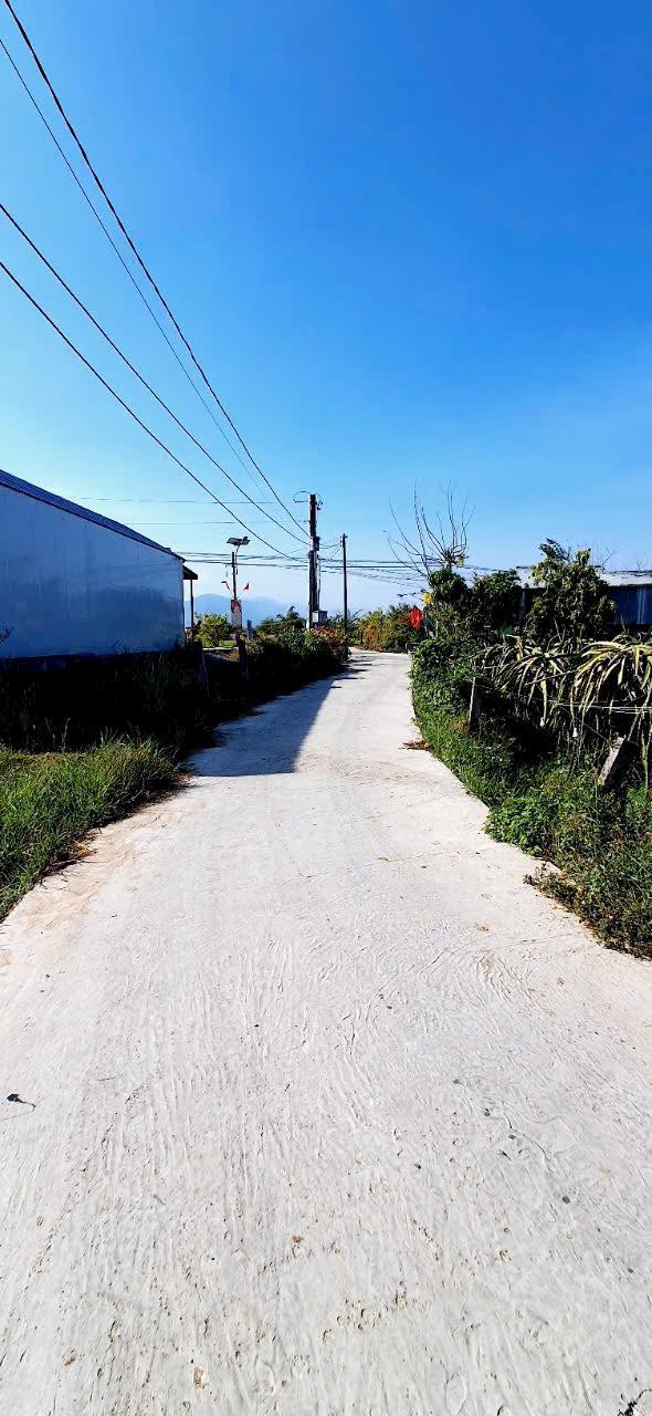 Đất Vườn Hàm Hiệp, Bình Thuận – 1030m² Sổ Đỏ, Sẵn Sàng Đầu Tư